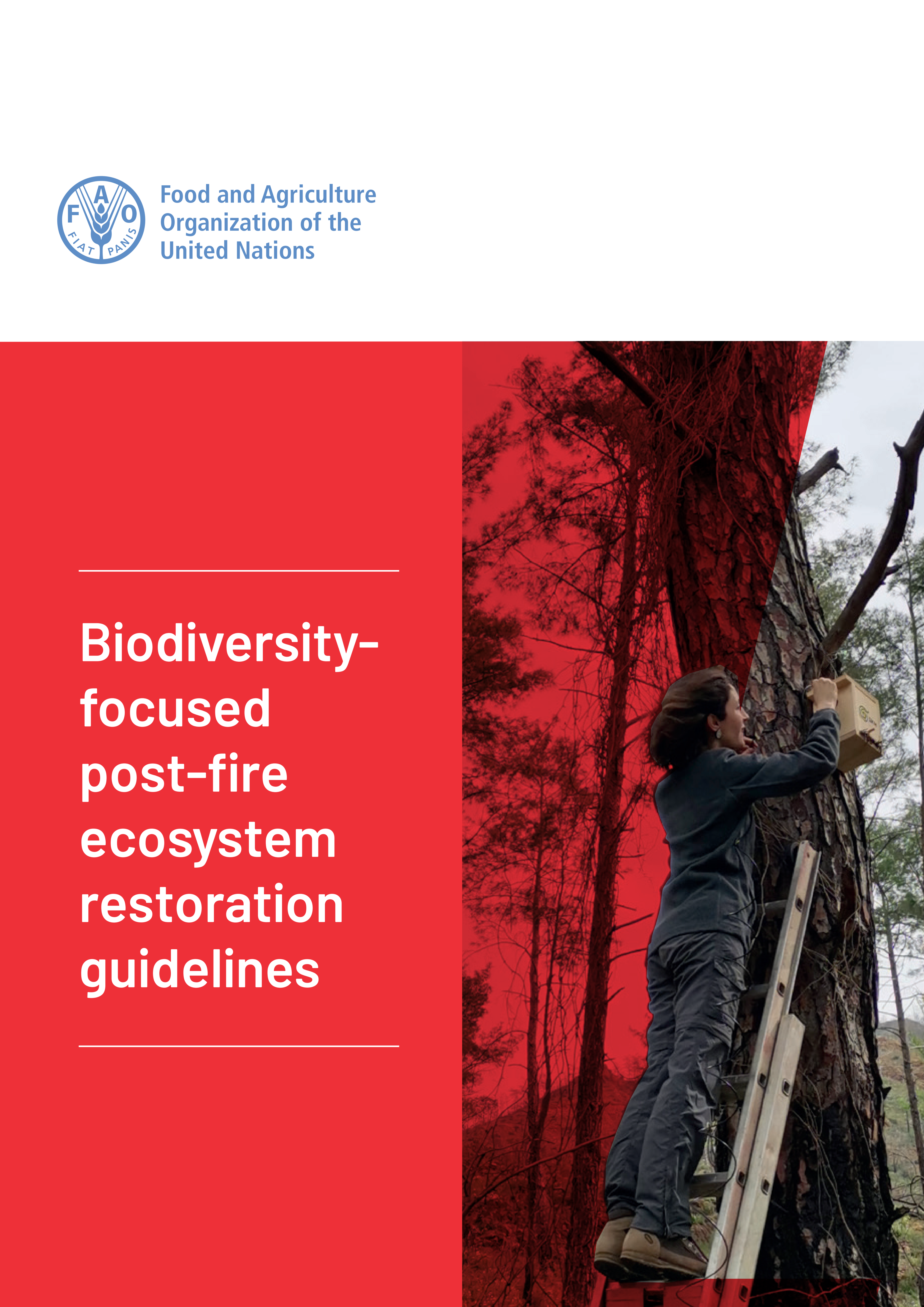 Biodiversity Focused Post-Fire Ecosystem Restoration Guidelines